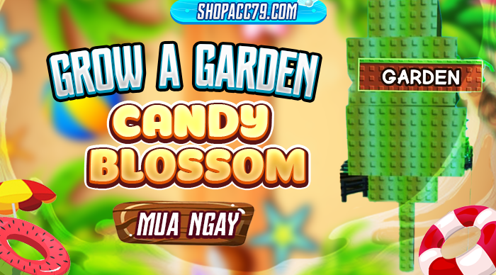 ACC CÓ CANDY BLOSSOM